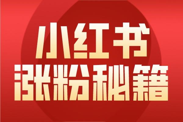 本人已实名的手机号是什么?